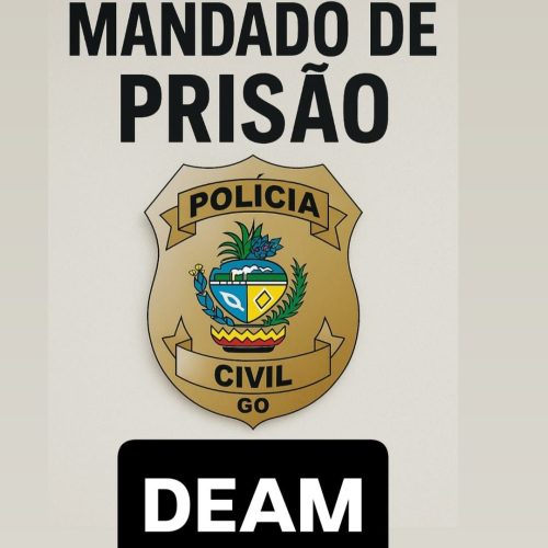 Polícia Civil de Mineiros cumpre mandado de prisão por descumprimento de medida protetiva